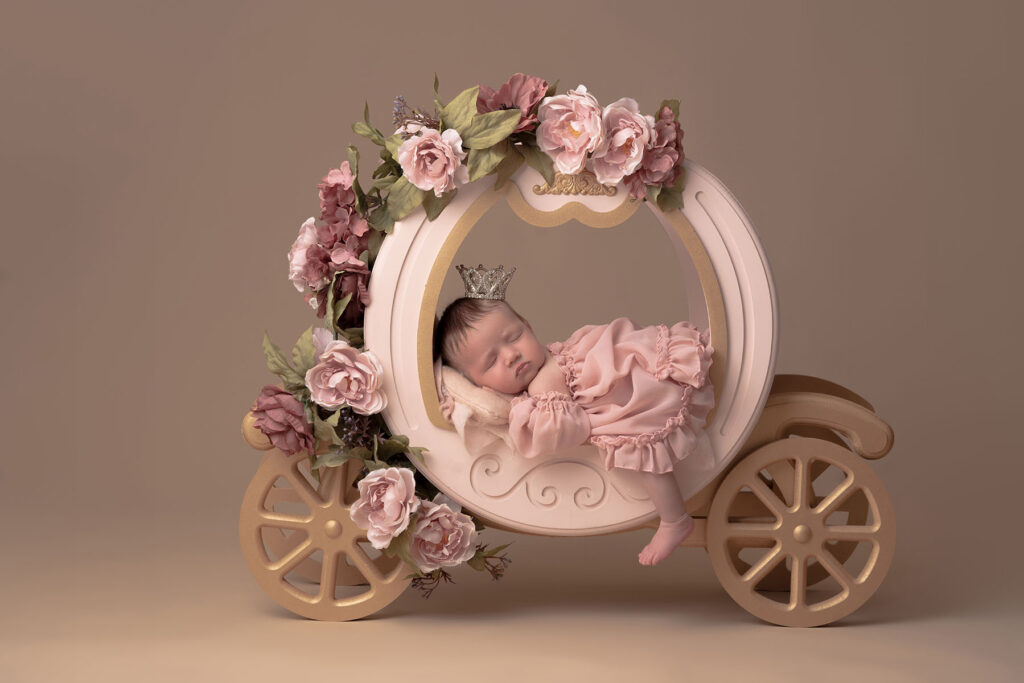 Newborn portrait of baby in a carriage prop wearing a crown and pink dress