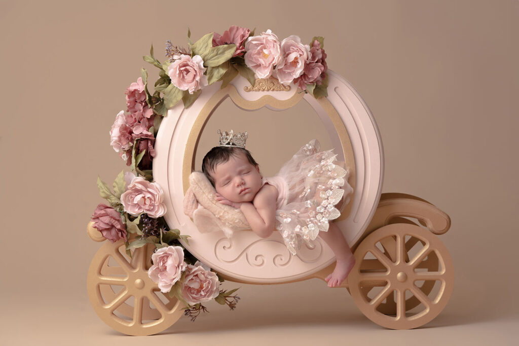 Newborn portrait of baby in a carriage prop wearing a crown and pink dress